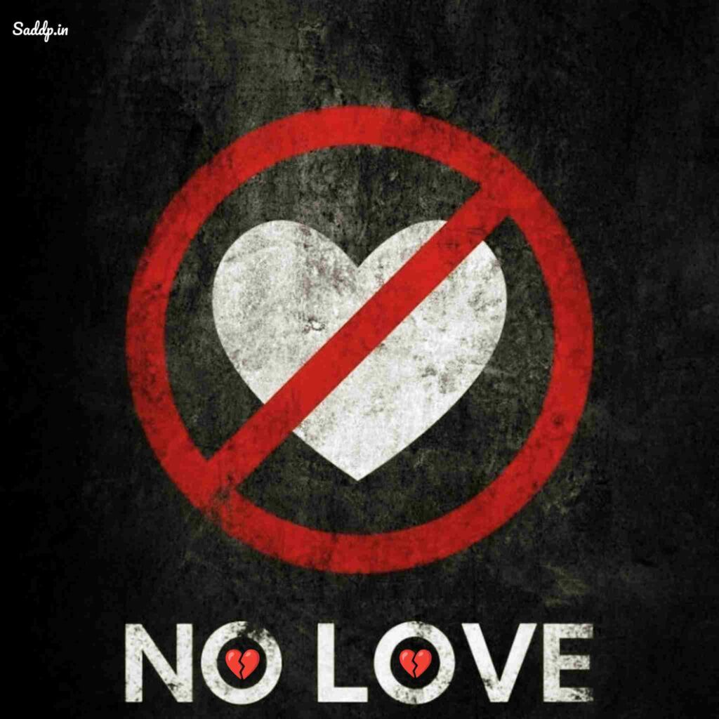 No Love DP Boy Download 02