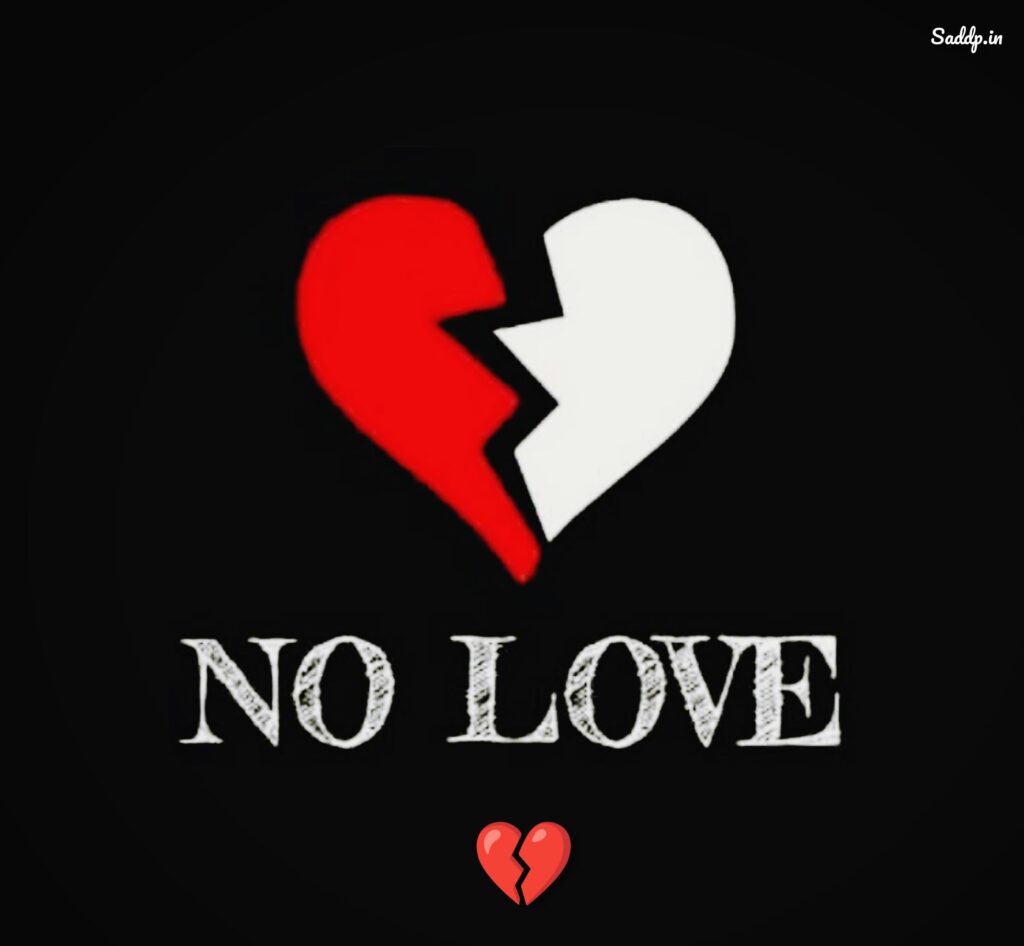 No Love DP Boy Download 03