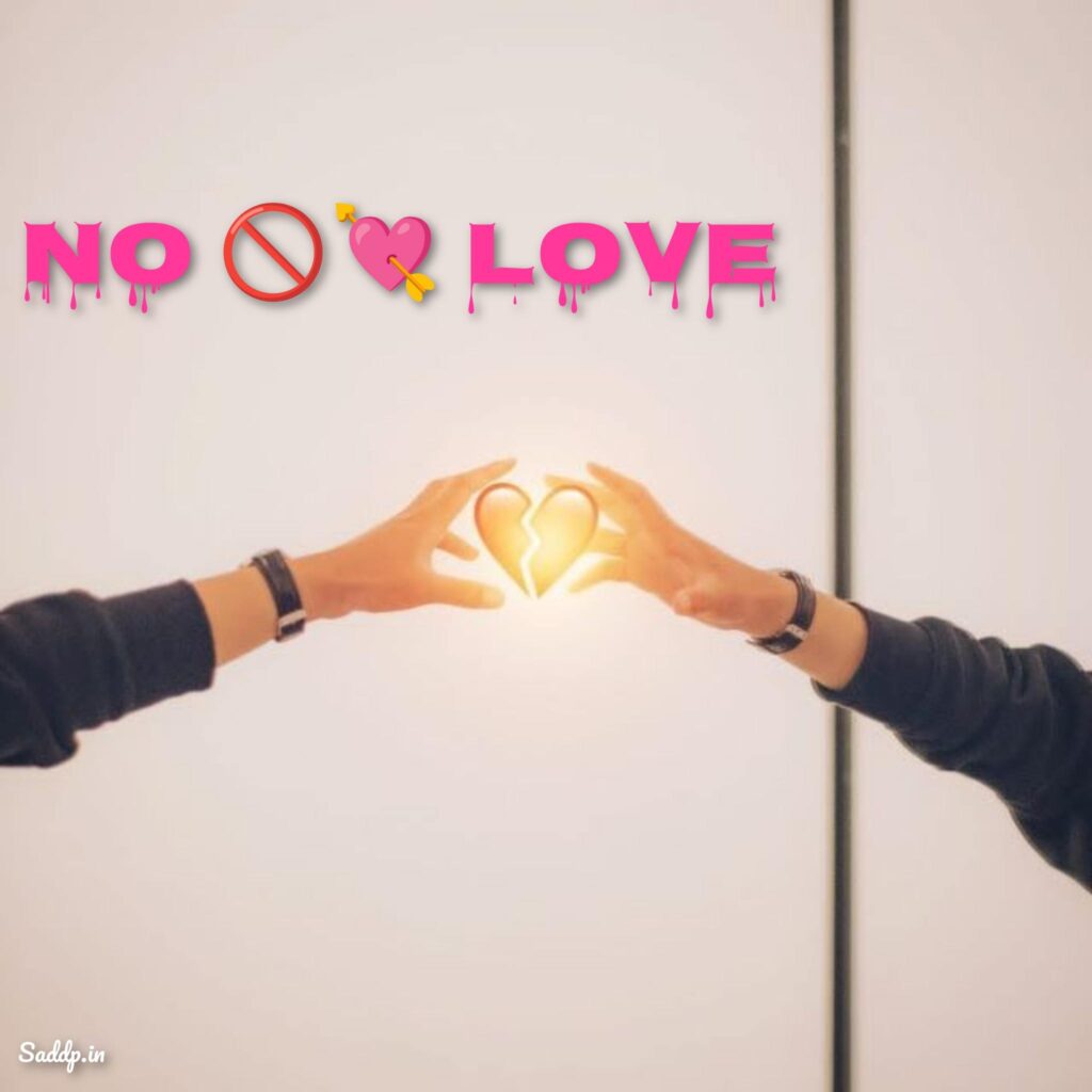 No Love DP Image 02