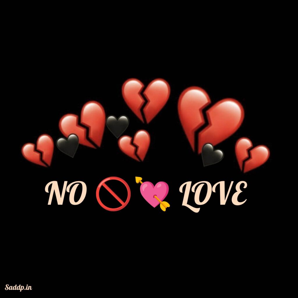 No Love DP Images 01