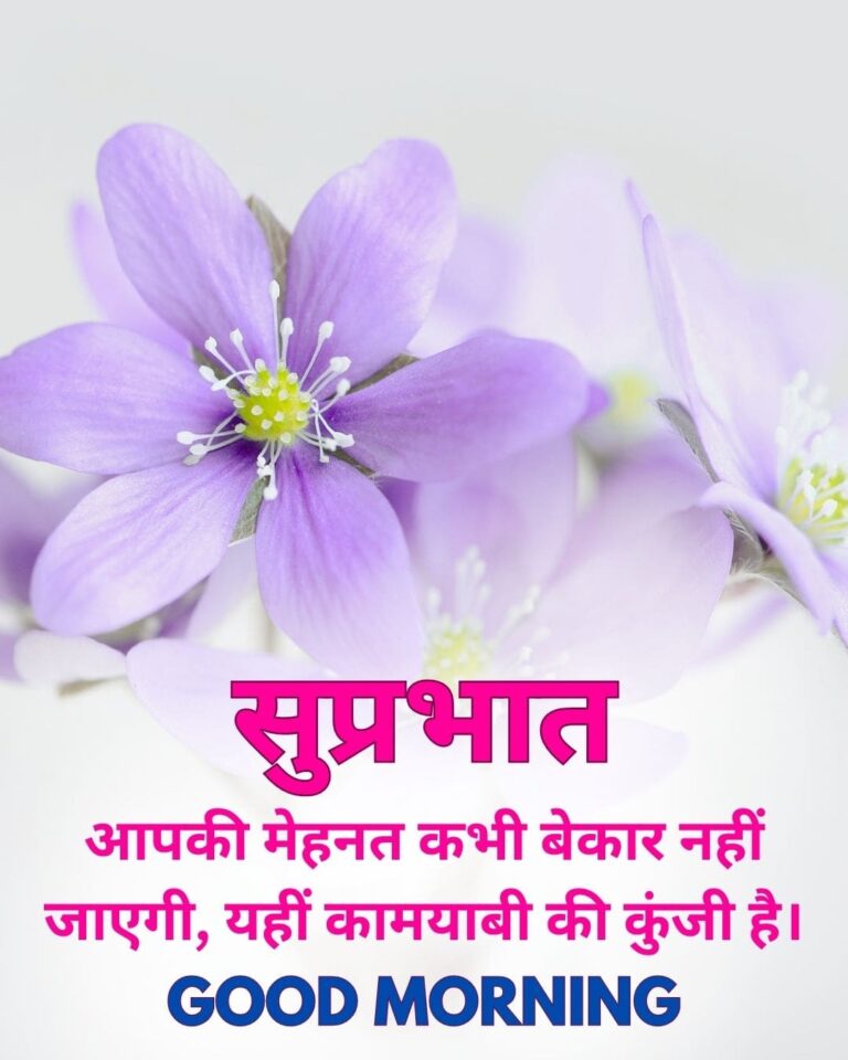 Good Morning Wishes in Hindi 08